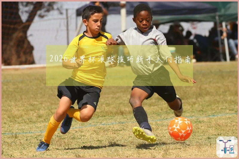 2026世界杯滚球技巧新手入门指南
