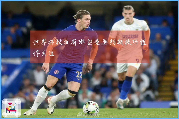 世界杯投注有哪些重要判断技巧值得关注