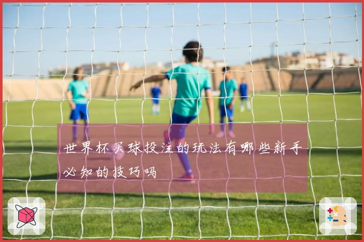 世界杯买球投注的玩法有哪些新手必知的技巧吗