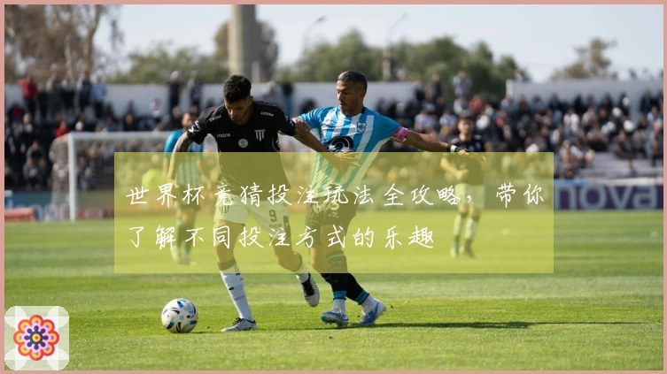 世界杯竞猜投注玩法全攻略,带你了解不同投注方式的乐趣
