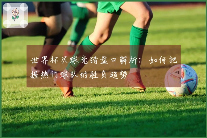 世界杯买球竞猜盘口解析：如何把握热门球队的胜负趋势
