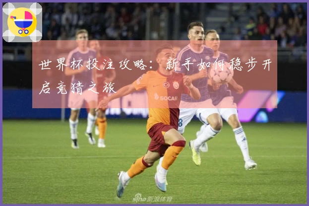 世界杯投注攻略：新手如何稳步开启竞猜之旅