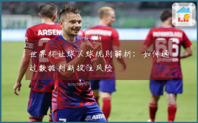 世界杯让球买球规则解析：如何通过数据判断投注风险