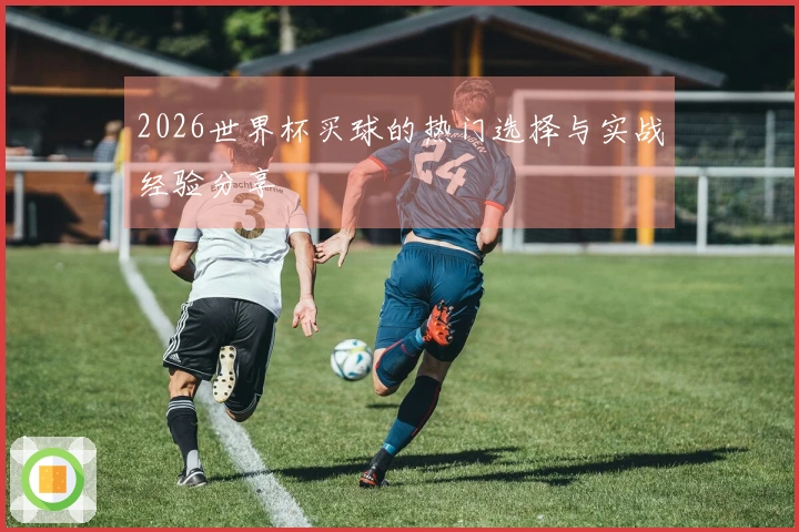 2026世界杯买球的热门选择与实战经验分享