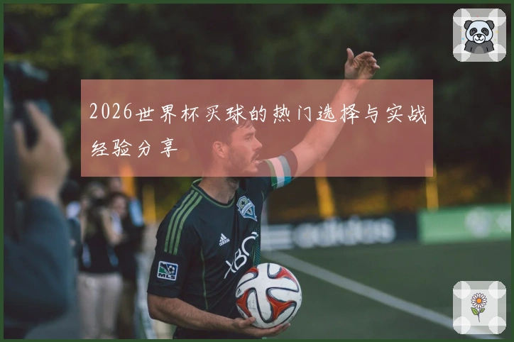 2026世界杯买球的热门选择与实战经验分享