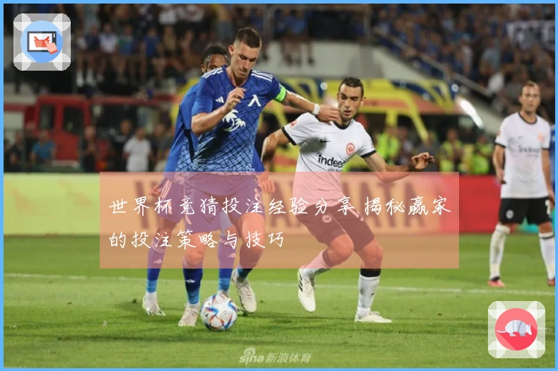 世界杯竞猜投注经验分享 揭秘赢家的投注策略与技巧