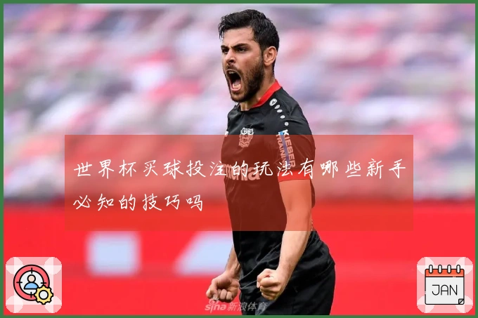 世界杯买球投注的玩法有哪些新手必知的技巧吗