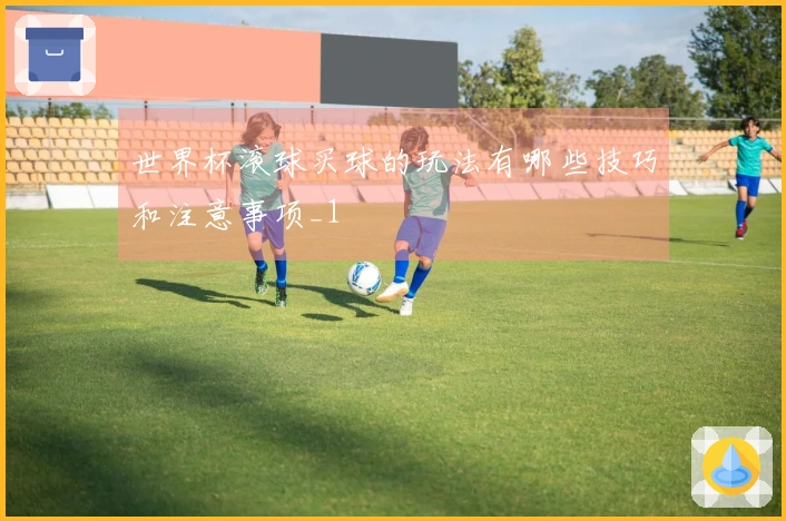 世界杯滚球买球的玩法有哪些技巧和注意事项_1